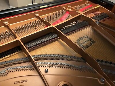 yamaha c6pe (7)