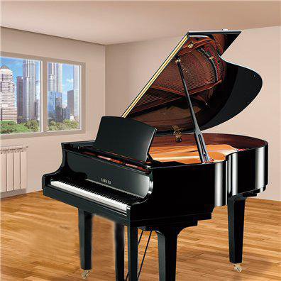 yamaha gp1k pe (3)