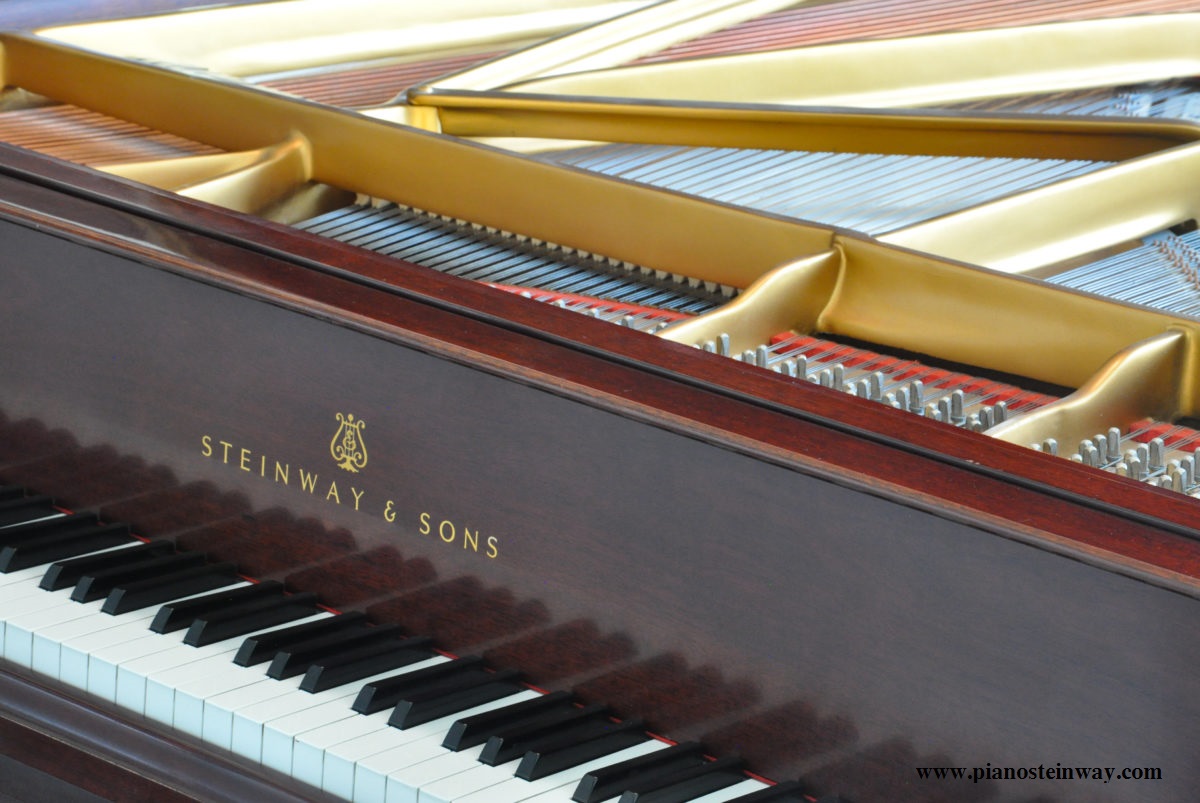 Steinway model B (1)