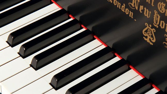 steinway model B (19)